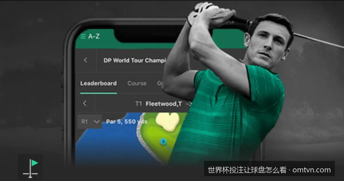 从零开始看懂世界杯让球盘：新手必备的盘口解析指南